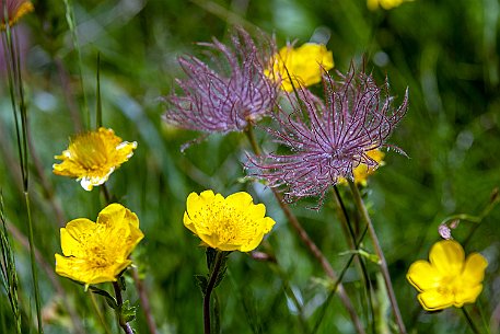 Dolomiten_20220620_25